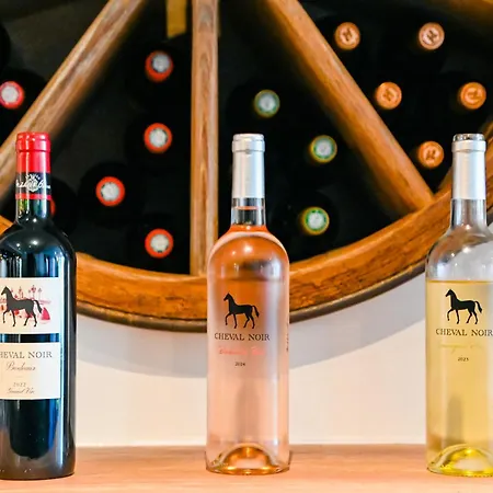 Hotel La Glycine Hotel, Spa Et Bien-Etre 2*